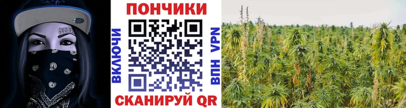 Купить Джанкой Конопля  A PVP  ГАШИШ 