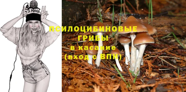 СК Алзамай