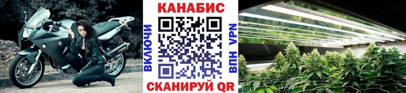 МАРИХУАНА OG Kush Джанкой